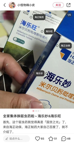 宠物保健食品 宠物经济中潜藏的新蓝海