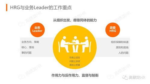 阿里巴巴人力资源与组织管理体系 值得借鉴的管理智慧